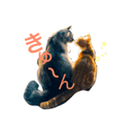 猫と猫 M＆H（個別スタンプ：1）