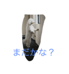 プーリー（個別スタンプ：2）