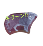 ネコのとも（個別スタンプ：5）