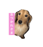 風のスタンプ（個別スタンプ：6）