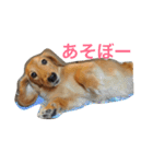 風のスタンプ（個別スタンプ：7）