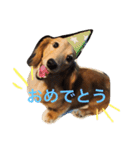 風のスタンプ（個別スタンプ：15）