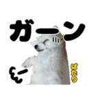 クレイジードッグ（個別スタンプ：21）