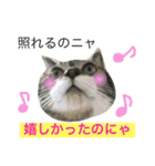 猫は こばん（個別スタンプ：4）