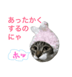 猫は こばん（個別スタンプ：12）