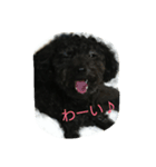 のわぽー（個別スタンプ：1）
