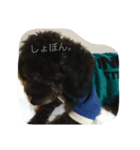 のわぽー（個別スタンプ：4）