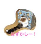 たりらん♪（個別スタンプ：9）