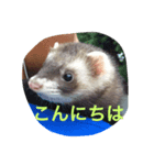 HELLO‼︎ I‘m Matthew★（個別スタンプ：2）