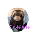 HELLO‼︎ I‘m Matthew★（個別スタンプ：3）