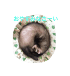 HELLO‼︎ I‘m Matthew★（個別スタンプ：4）