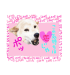 dog party 2（個別スタンプ：3）
