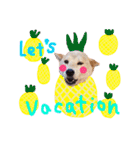 dog party 2（個別スタンプ：4）