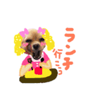 dog party 2（個別スタンプ：7）