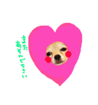 dog party 2（個別スタンプ：8）