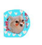 dog party 2（個別スタンプ：9）