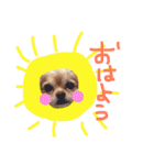 dog party 2（個別スタンプ：18）