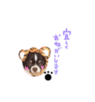 dog party 2（個別スタンプ：19）