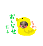 dog party 2（個別スタンプ：30）