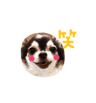dog party 2（個別スタンプ：32）