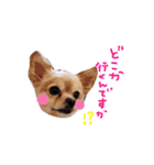 dog party 2（個別スタンプ：33）
