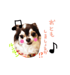 dog party 2（個別スタンプ：34）