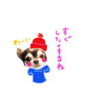 dog party 2（個別スタンプ：35）