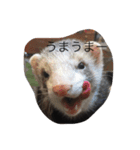 にょろにょろ生活（個別スタンプ：1）