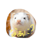 にょろにょろ生活（個別スタンプ：4）