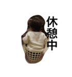てくてく兄弟（個別スタンプ：5）