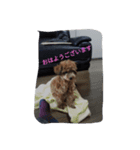 マロン君の日常（個別スタンプ：2）