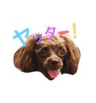 リリー！（個別スタンプ：4）