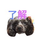 リリー！（個別スタンプ：5）