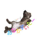 リリー！（個別スタンプ：9）