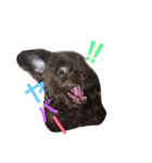 リリー！（個別スタンプ：11）