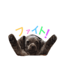 リリー！（個別スタンプ：13）