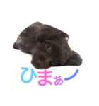 リリー！（個別スタンプ：15）