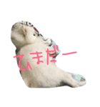 ごすけ（個別スタンプ：2）
