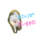 ごすけ（個別スタンプ：4）