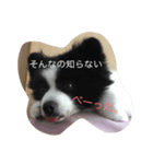 Lariyama（個別スタンプ：6）