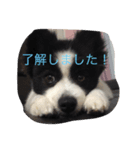 Lariyama（個別スタンプ：7）