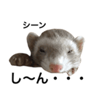 I LOVE FERRET 7 フェレット（個別スタンプ：11）