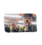 dai_chan（個別スタンプ：3）