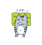 わがままボディ☆にゃんこ（個別スタンプ：14）