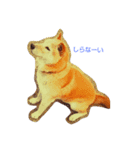 Larger Shiba Inu（個別スタンプ：1）