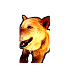 Larger Shiba Inu（個別スタンプ：8）