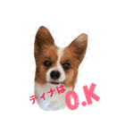 tina＆milk（個別スタンプ：1）