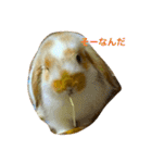 ぽこすた（個別スタンプ：13）