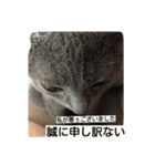 あらた君の日常（個別スタンプ：1）