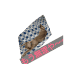 あらた君の日常（個別スタンプ：8）